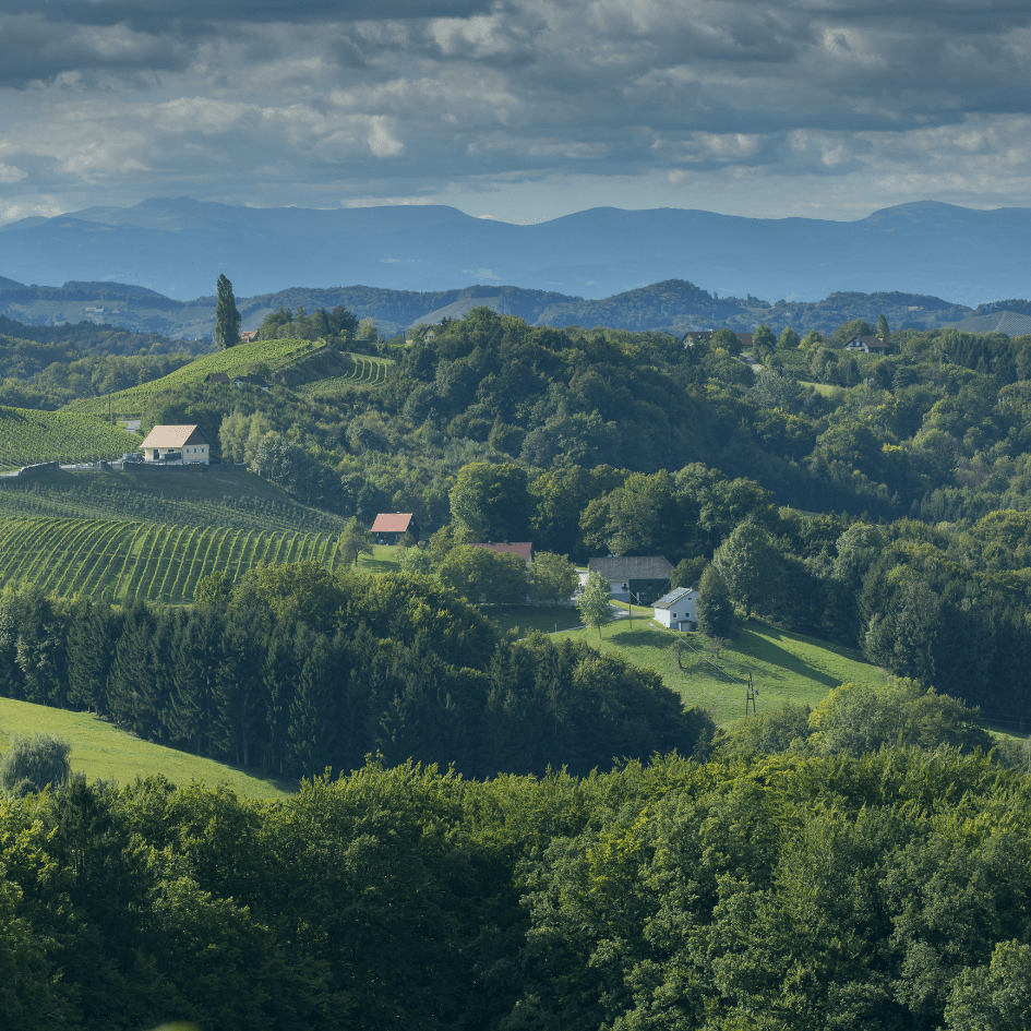 Steiermark