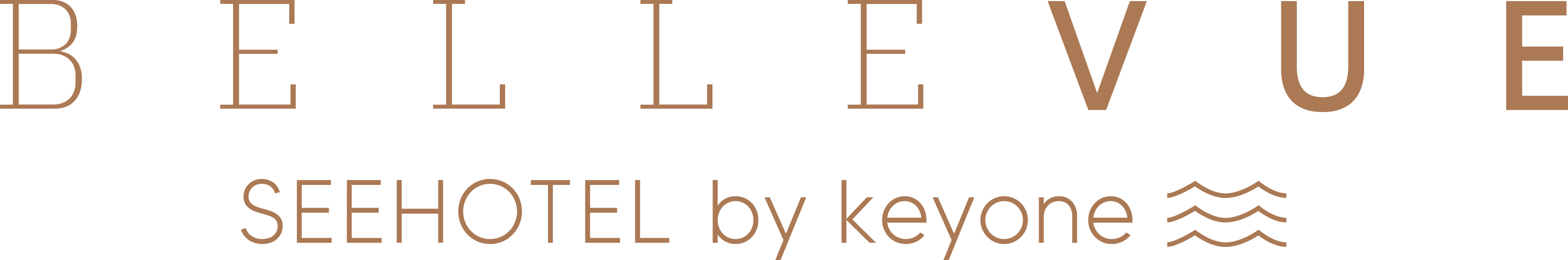 Bellevue from keyone DE
